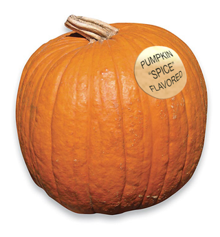 Illustration for article titled Kotaku' Shop Contest: Pumpkin Spice Armageddon: Winners!